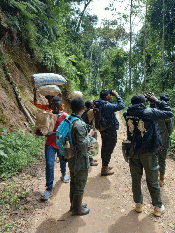 Training camp Nyungwe NP