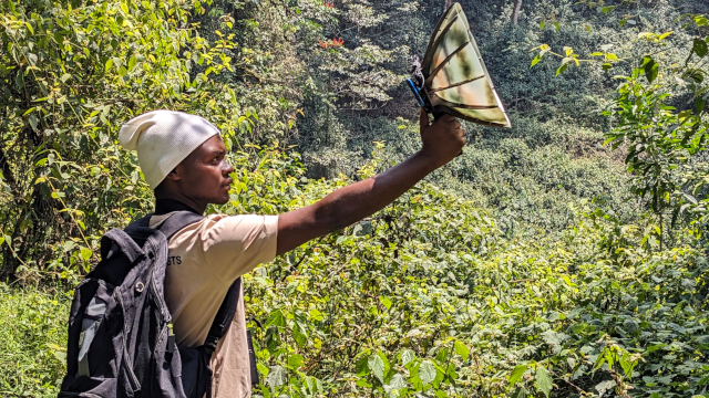 Field recording with students from IPRC Kitabi and partners, Rugezi Ornithology Centre